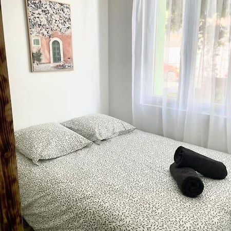 Le Briguiboul Appartement Castres  Buitenkant foto